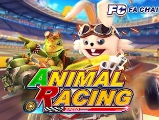 Animal Racing game banner